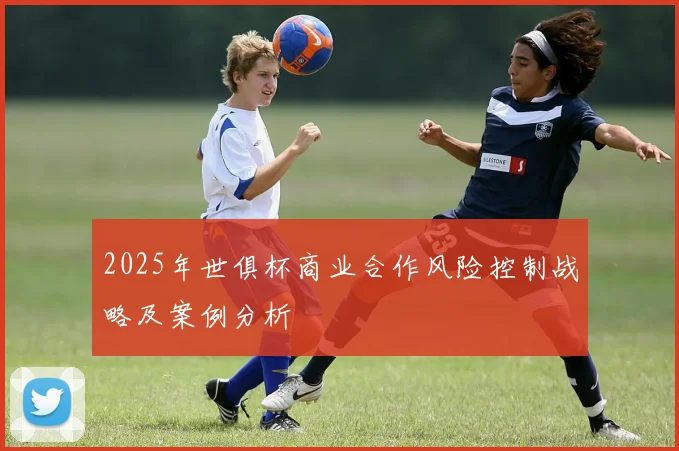 2025年世俱杯商业合作风险控制战略及案例分析