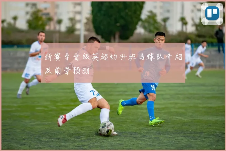 新赛季晋级英超的升班马球队介绍及前景预测