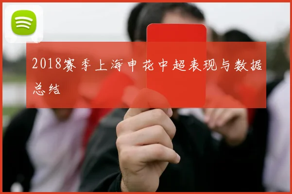 2018赛季上海申花中超表现与数据总结